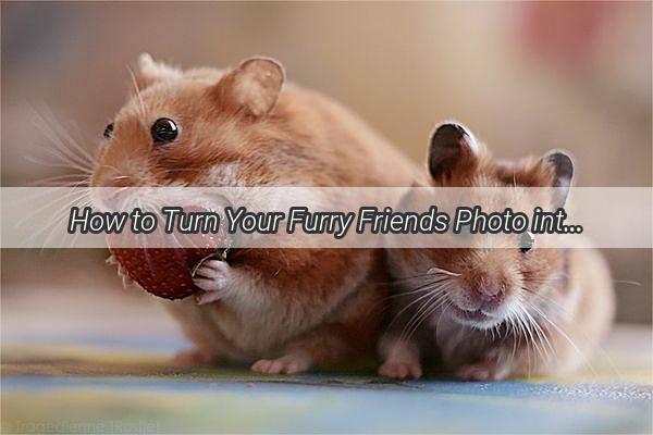 How to Turn Your Furry Friends Photo into a Heartwarming Desktop Wallpaper